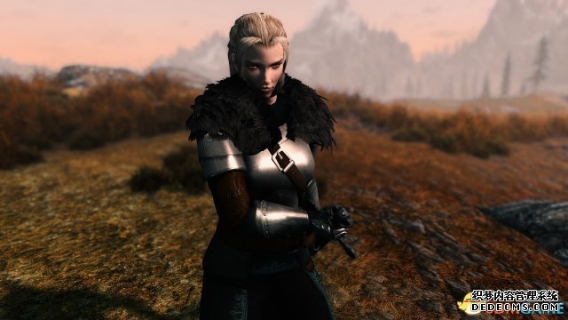 上古卷轴5：天际重制版 黑魂法汉铠甲MOD