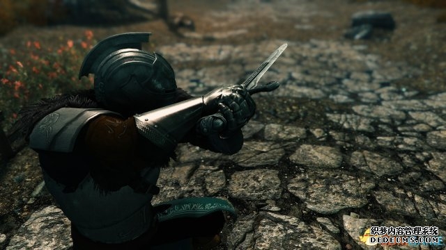 上古卷轴5：天际重制版 黑魂法汉铠甲MOD