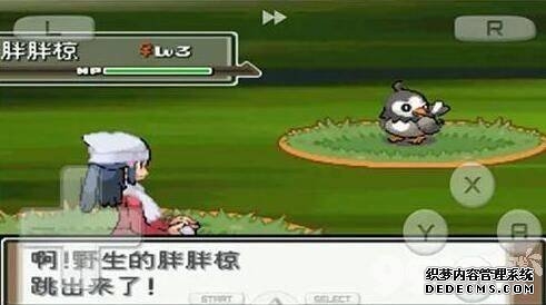 口袋妖怪起源心金2023金手指都有哪些 金手指代码大全汇总