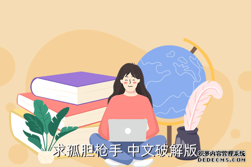 求孤胆枪手 中文破解版