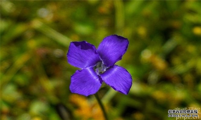 准格尔网上商城建设公司如何选择?（网上商城建设公司的5个选择方法）