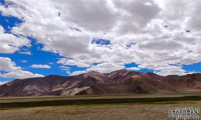 准格尔电商网站开发公司该如何找?（电商网站开发公司的5个选择要点）