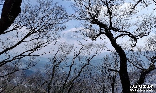 准格尔电商系统开发有哪些流程?（电商系统开发的8个关键步骤