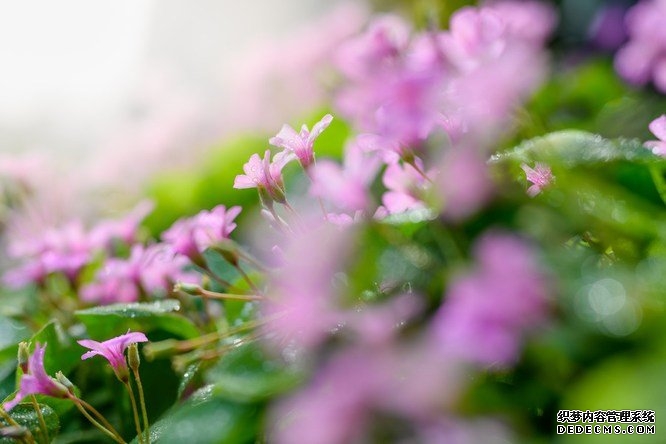 准格尔建设手机网站报价多少钱?