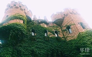 买彩票中奖是夫妻共同财产吗