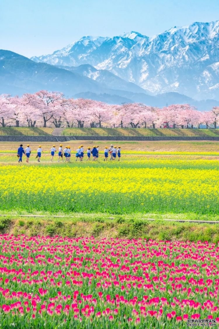 第232期：日本政府发钱每人10万日元？桥本环奈被曝分手；《蜡笔小新》真人化？大阪世博开幕 | 百通板