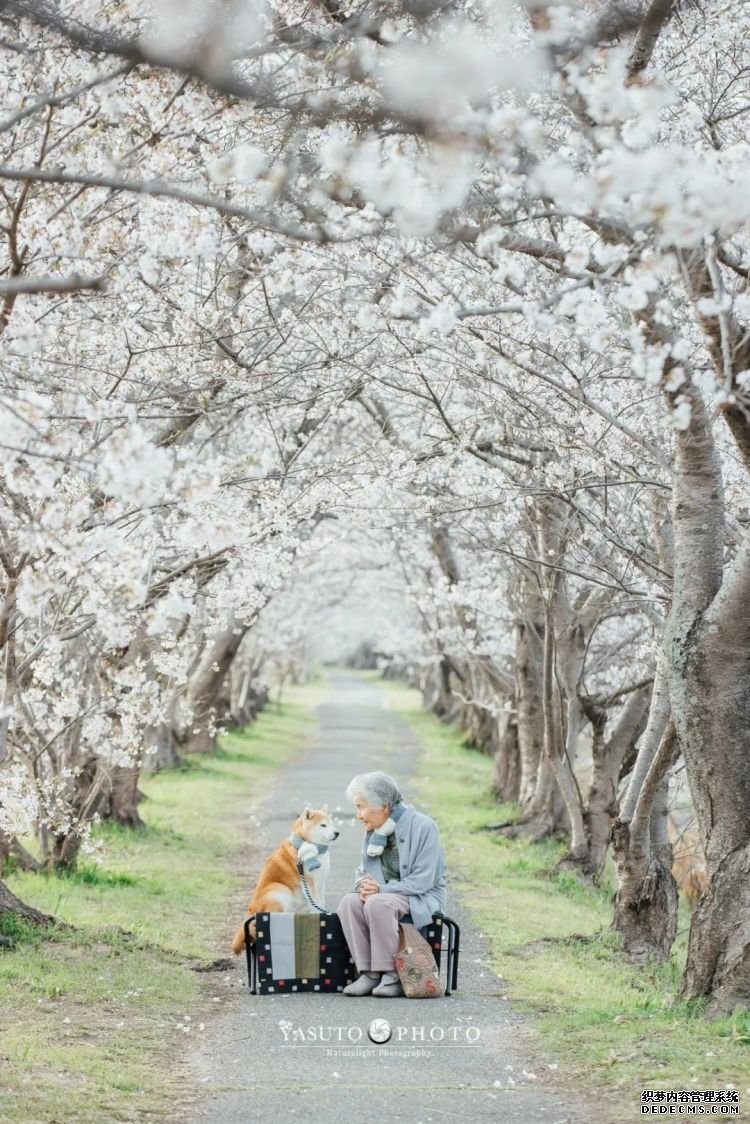 第232期：日本政府发钱每人10万日元？桥本环奈被曝分手；《蜡笔小新》真人化？大阪世博开幕 | 百通板