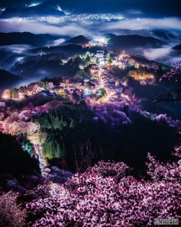 第232期：日本政府发钱每人10万日元？桥本环奈被曝分手；《蜡笔小新》真人化？大阪世博开幕 | 百通板