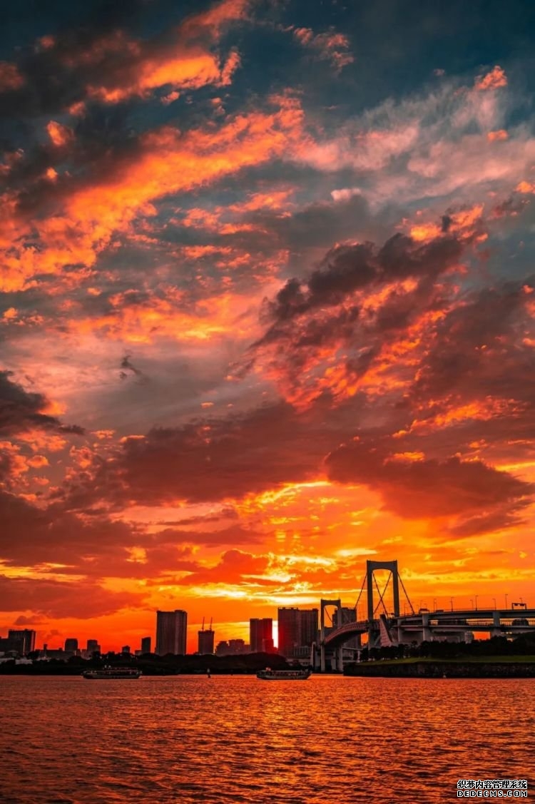 第232期：日本政府发钱每人10万日元？桥本环奈被曝分手；《蜡笔小新》真人化？大阪世博开幕 | 百通板