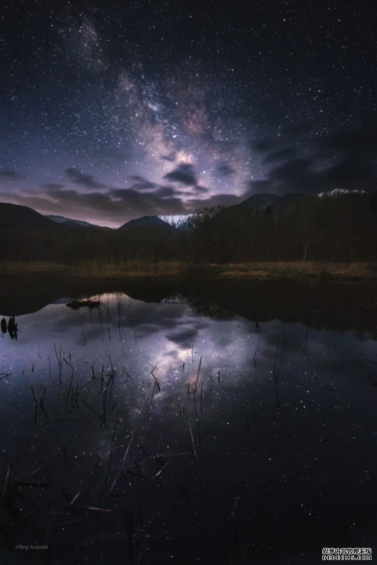 第232期：日本政府发钱每人10万日元？桥本环奈被曝分手；《蜡笔小新》真人化？大阪世博开幕 | 百通板