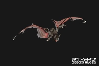 魔兽世界wlk蝙蝠在哪抓