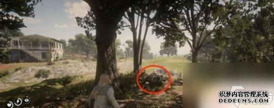 荒野大镖客2黑与白兄弟 荒野大镖客2 紧箍的羁绊任务攻略